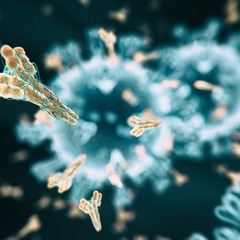 Apparition Materialized