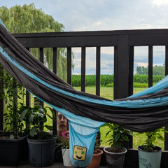 Hammockjam