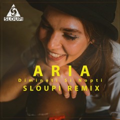 Aria - Dimineti Si Nopti ( Sloupi Remix ) Radio