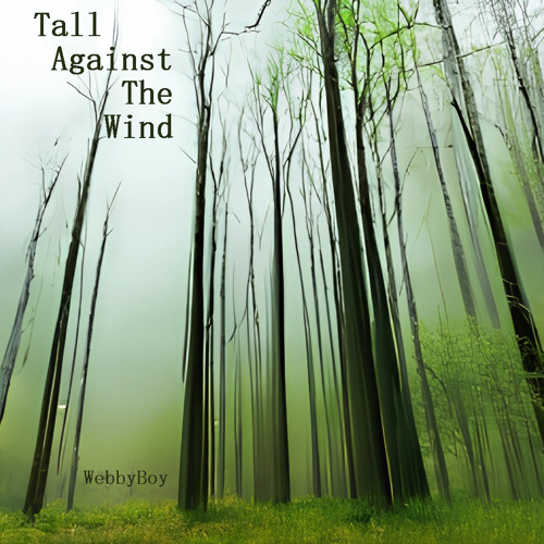 WebbyBoy - Tall Against The Wind