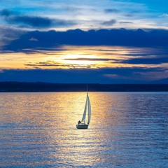 Sailing On The Waves Of Life