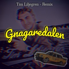 Gnagaredalen - Remix