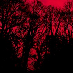 Interlude I Made For You... (Prod. Plague)