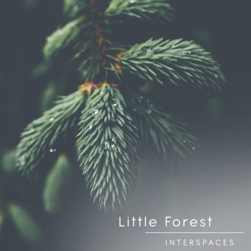 Little Forest