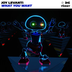 Joy Levanti - What You Want