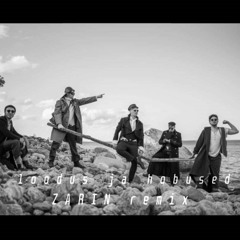 Loodus Ja Hobused (ZARIN Remix) 5MIINUST X HENDRIK SAL - SALLER