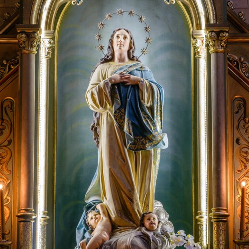 Stream Solemnity Of The Immaculate Conception Homily By Father Rubie ...