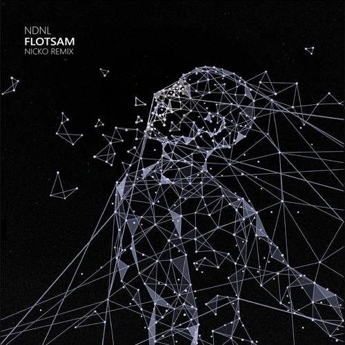 NDNL - Flotsam (Nicko Remix)
