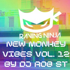 New Monkey Vibes Vol. 12 By Dj Rob ST (Tracklist in description + Free DL)