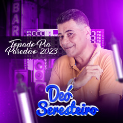 Vagabundinho Apaixonado