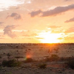 peaceful-sunset-in-africa.mp3