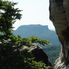 Ambiente Stream No 20