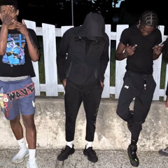 die R zdot and bloxkstarmeek