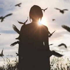 fly away