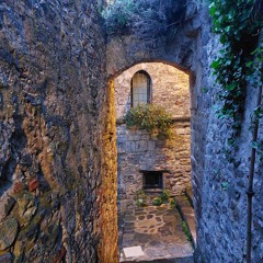 Intresting new songs