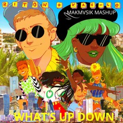 Brooster Vs. Riton & Kah - Lo - What's Up Down (MAKmvsiK Mashup)