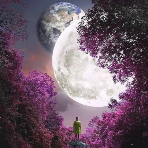 Tell Me Why I Love You