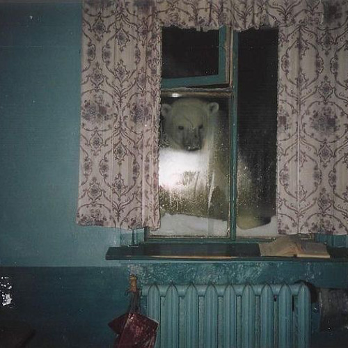 Stream Feelz - (Lil Peep cover) by _.ripme._ | Listen online for free ...