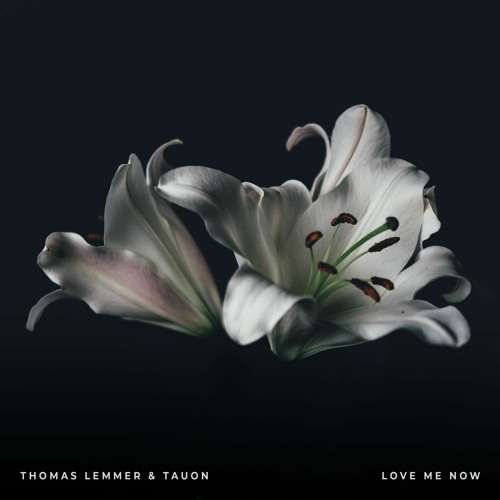 Thomas Lemmer & Tauon - Love me now