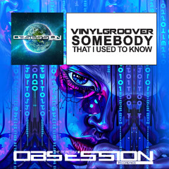 Somebody That I Used To Know (Radio Edit) - Vinylgroover