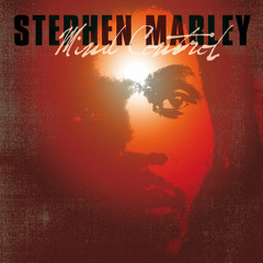 Stephen Marley - Mind Control full album