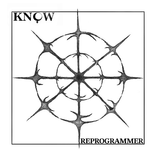 Reprogrammer