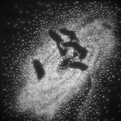 OWVR - PASSION VIP [FREE DL]