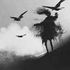 Fly
