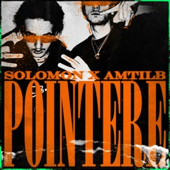 Solomon x Amtilb - POINTERE
