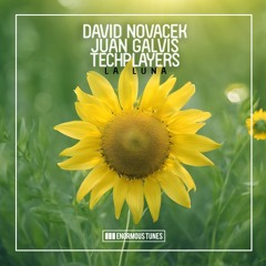 DAVID NOVACEK, JUAN GALVIS & TECHPLAYERS- La Luna