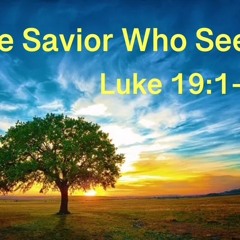 The Savior Who Seeks - Luke 19:1-10