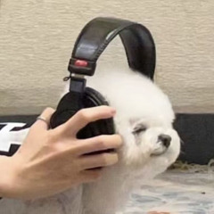 ️ 작년 겨울 ☃️ 즉흥