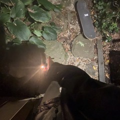 home alone - zelly ocho & damnwe4evr