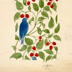 ياسيد الكونين جئتك قاصدا - يحيى حسين بيهقي