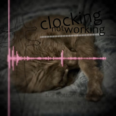 clocking not working
