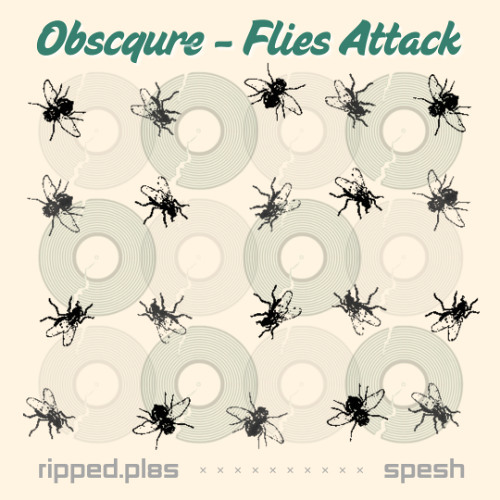 obsqure - flies attack {ripped.pl8s spesh} [free]