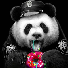DJ PANDADUDE - THE BASSHEAD PANDA