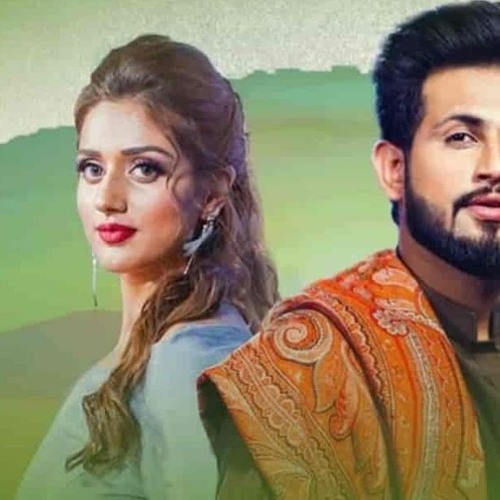 Shayar By Sarmad Qadeer_Jannat Mirza_ORIGINAL_ Bilal SaeedLatest Punjabi Song 2020_Ft_Dj_Bitu
