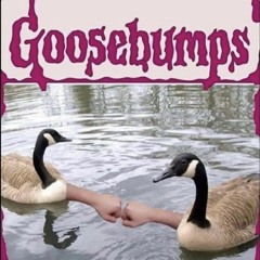 Mix5 Little Bit Of Everything