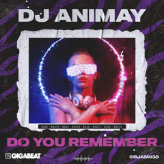 DJ Animay - Do You Remember