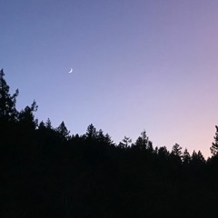 You Be Like The Moon