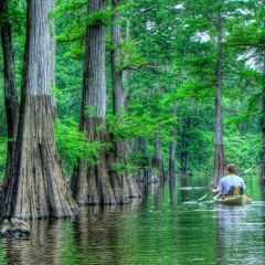 Caddo Blues