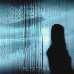 Plectrum