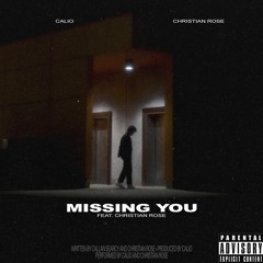 Missing You (feat. Christian Rose)