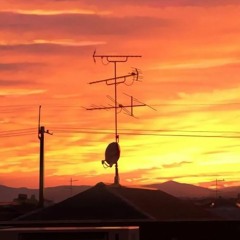 [hello Morning.] w/ speedyboyprodigy