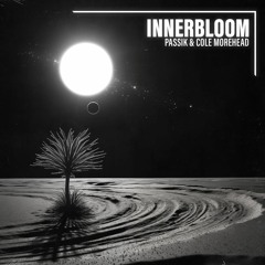 PASSIK & Cole Morehead - Innerbloom