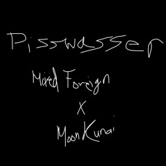P I S S W A S S E R ( MF X MK )