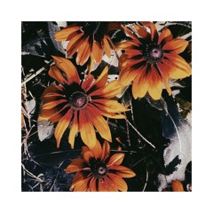 Monsters In My Basement [Real AF Cover]