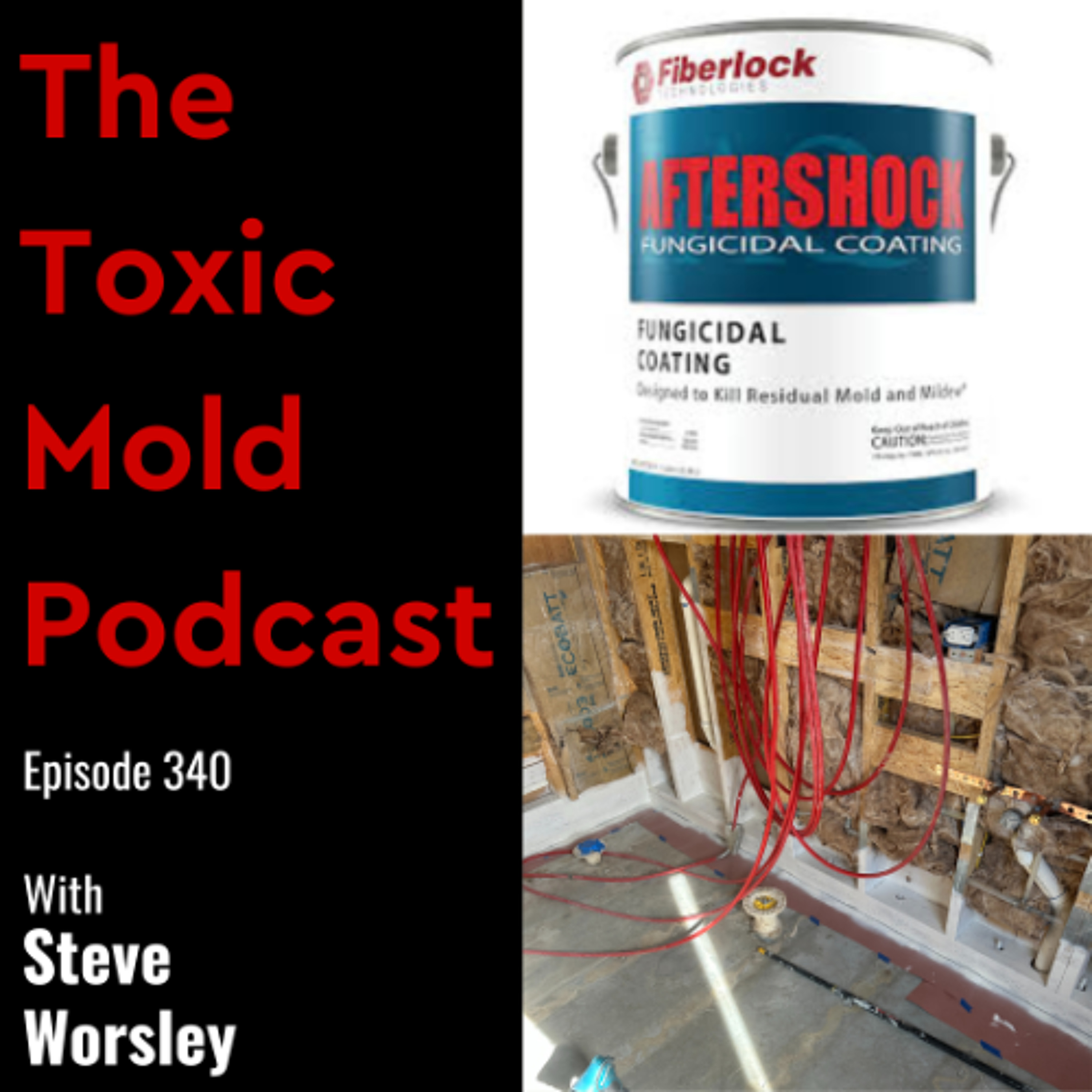 EP 340 : Waterproofing After Toxic Mold Removal