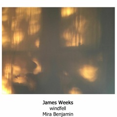 James Weeks - 'windfell' (extract)